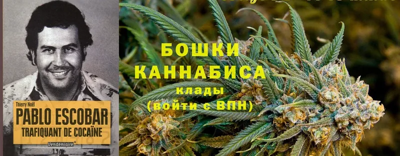 Каннабис White Widow  где купить наркоту  Верхний Тагил 